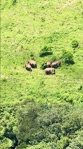 brahmmagiri trekking full video upload Link in description