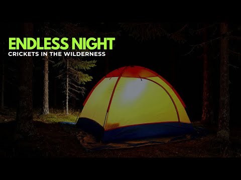 Endless Night: Crickets in the Wilderness