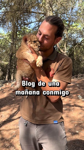 Acompáñame a ver cómo es una mañana conmigo 🦁 🚜 #safariaitana #grapas #zookeper #animal #cuidador