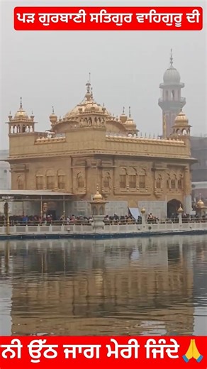 ਪੜ ਗੁਰਬਾਣੀ ਸਤਿਗੁਰੂ ਵਾਹਿਗੁਰੂ ਦੀ🙏🪯🙏 #wahguru #gurbani #shabad #simran #amritsar #goldentemple #viral