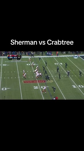 Richard Sherman vs Michael Crabtree: NFL Postgame Interview Drama