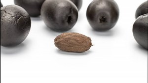 Watch | Eco-friendly fuel made from olive waste