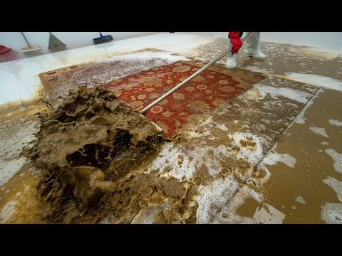 This Mud Explosion Came From a Rug | Extreme ASMR Cleaning