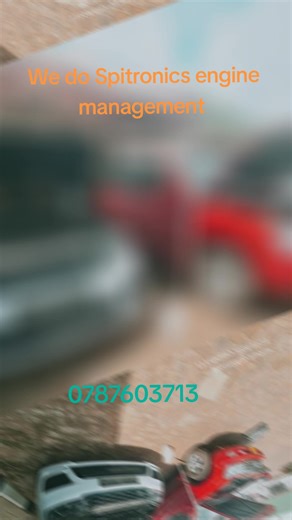 we do Spitronics engine management and auto . huyai varungu Conner samora and glenarh 0787603713