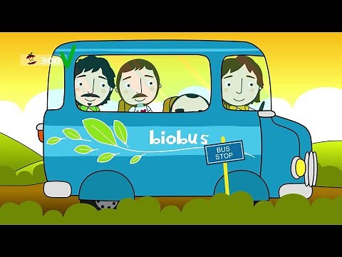 Elio e le Storie Tese - La canzone circolare