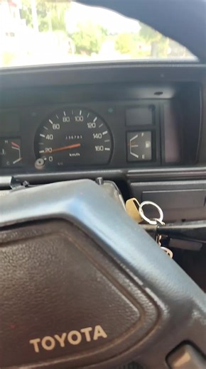 Videos de vcardozog (@vcardozog) con “sonido original - eljuli27”