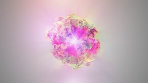 Videohive Colorful Flowers Logo Reveal - 17182581 AEdownload.com