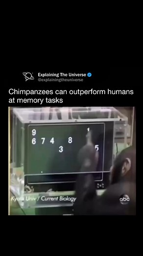 1.6M views · 27K reactions | Chimpanzees have been observed to...