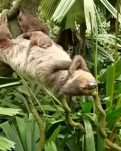 Nothing like a nap with your baby 🦥🥰 | Tyla