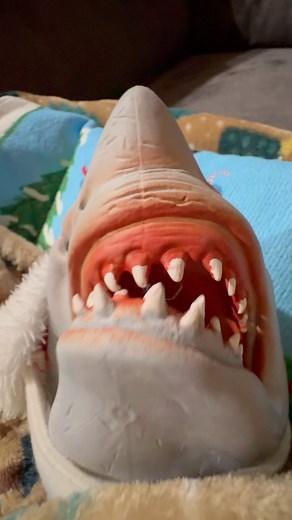 Shark Puppet ✪ on Instagram: "CHEESE?"