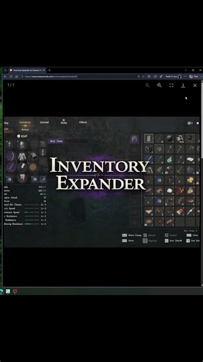 Crimson Desert Mod: Get 200+ Slots FAST! (Nexus Mods)