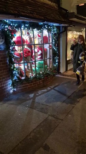 Quack, quack, quack 🦆🐤🐥 #countrylife #countryliving #dogtoy #dogsoftiktok #game #duck #pheasant #petshop #wiltshire #marlborough