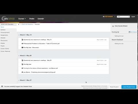 How to access student view in Canvas