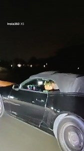 700K views · 11K reactions | Didnt see you im watching Billionare Bonkers on the windshield DW44JM #fyp #summerfield #florida | MikeRidesdaily | Facebook