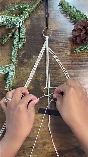 DIY Macrame Plant Hanger 🪴