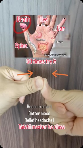 Taichi Master He on Instagram: "Taichi course Big promotion. Specific Taichi Course improve symptoms,remove root causes, become healthy and longevity. Course link: https://www.taichihot.com/taichi-course-c-125.html Also you can Click the link in our bio @taichihot And search : taichi Press your tumb ,50 times a day,better mood ,better sleeping. Master He healthy course,message us,better bodybuilding,better sleep,better mood.Become longevity,live to 100 years without any disease. Many diseases ca