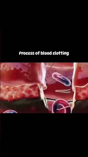 Process of blood clotting