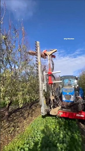 Pruning Season 2024 in Spain || Pre-Pruner 4000V || Made By VIMAR EQUIPOS Spain | #pruning #shorts