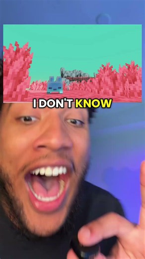 Minecraft added a new dimension to vanilla??? The sift..