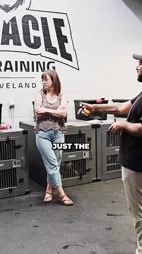 How to Handle Resource Guarding When Your Dog Stays Glued to You