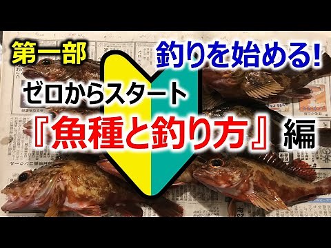 【海釣りはじめよう！】初心者おすすめ『魚種と釣り方』紹介