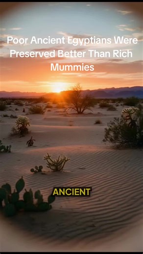 Poor Ancient Egyptians Were Preserved Better Than Rich Mummies Ancient Egypt mummification secrets, natural mummies Egypt, poor vs rich ancient Egypt, Egyptian burial practices, sand mummies better preserved #AncientEgypt #Mummies #EgyptianHistory #ForbiddenKnowledge #AncientMysteries