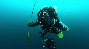 15K views · 676 reactions | Emmy Award winning underwater...