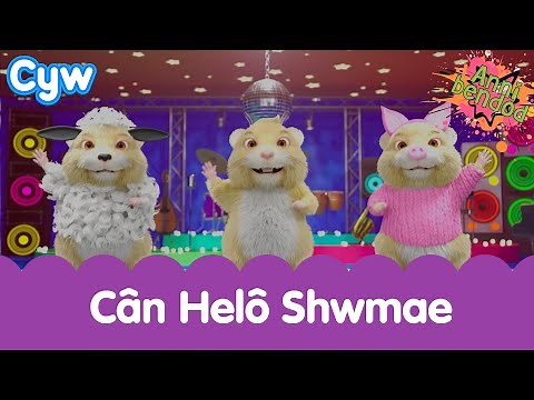 Annibendod - Cân Helô Shwmae | Welsh toddlers say hello hamster cute song 🐹