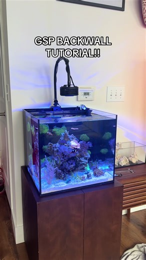 Green Star Polyp Back Wall Tutorial for Aquariums