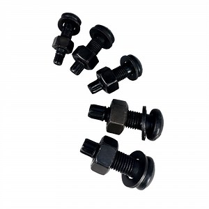 [Hot Item] Tamper Resistant Shear Bolt Security Break off Bolt