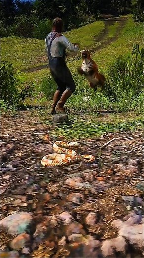 Survival Skills vid1789