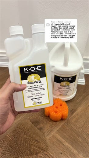 Replying to @Remi How to keep your house smelling good and dog odor free! We have been using @Odorcide KOE for 3 years now and it has been such a GAME CHANGER #odorcide #koe #aoe #petcarekit #tiktokshop