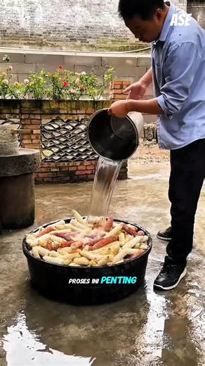 alih alih di buang masyarakat china suka memanfaatkan bongol jagung ini untuk....