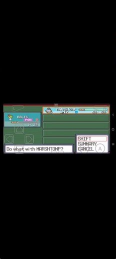 Pokemon ruby (GBA)