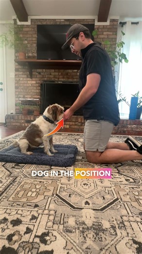 2 Dog Training Markers Most Owners Mess Up #dogtraining #puppytraining #dogtrainingtips