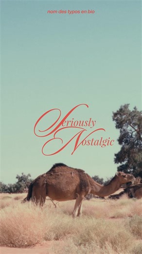 TU NE CONNAIS PAS CES POLICES A CONNAÎTRE ABSOLUMENT #davinciresolve #font #design #titre