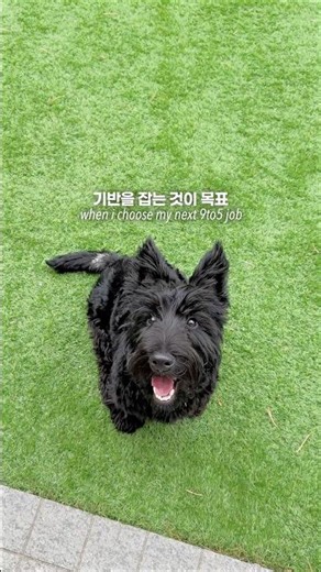 저 AI 목소리 안써요.. 오른쪽 상단 점 세개 - 오디오트랙 누르셔서 음성 설정이 영어로 되어있는지 체크 한번만 해주십셔!!