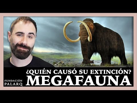 Did We Drive the Megafauna to Extinction? The Story of the Pleistocene