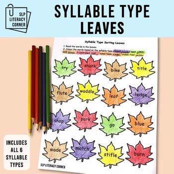 Fall Leaves Syllable Types Phonics Worksheets