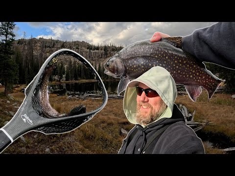 Huge Uinta Brookies
