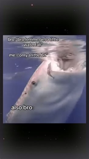 Uncrustamemes on Instagram: "South Korea is using advanced piezoelectric tiles to convert the everyday footsteps of people into clean electricity. As millions move through busy places like Seoul Station, Hongdae, and Myeongdong, the pressure from each step bends the tiles slightly, creating mechanical stress that the piezoelectric material transforms into electrical energy. This power is then used to run LED lights, smart sensors, and digital displays across public spaces, helping reduce the cou