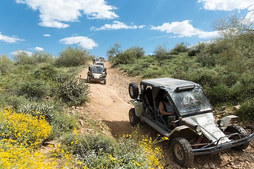 Half-Day TomCar Adventure | Desert Wolf Tours