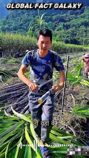Discovering Chinese Fruits🤫