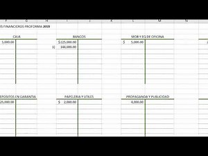 PREPARATION OF PRO FORMA FINANCIAL STATEMENTS