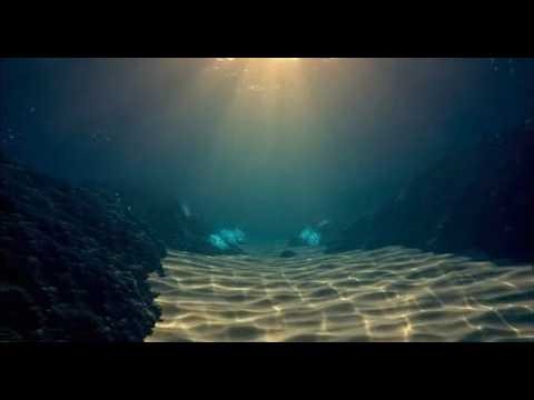 Coral Reef Sleep Story — 10 Hour Underwater Ambient Sounds for Deep Sleep | ASMR | White Noise