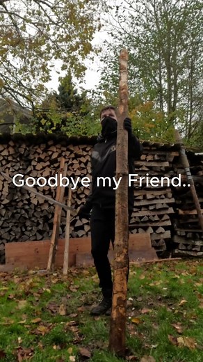 Katana vs Log ... another one is gone #logfight #swordfighting #martialarts