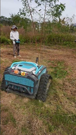 Precision Edge Cutting Lawn Mower OEM | Koham BorderLine Trim #EdgeCutMower #OEM