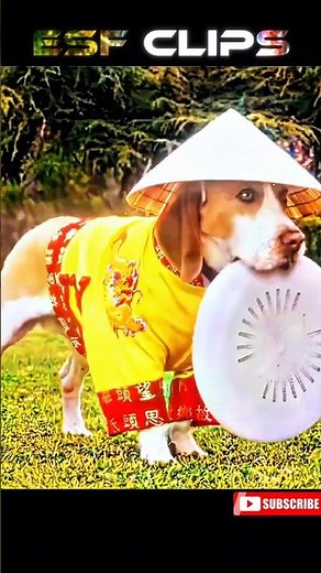 Underdog most viral clips #underdog #movie #dog #edit
