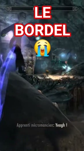 WTF ARRETEZ ?! #fypシ゚viral #skyrim #build #elderscrolls