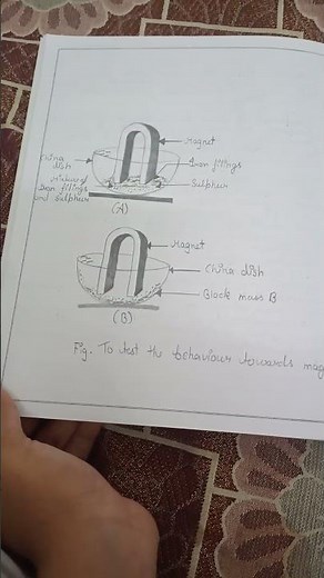 Class 9 science practical file experiment 2 🗄️#science